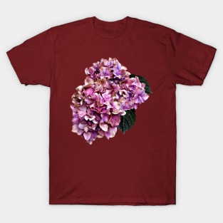 Hydrangeas - Pink and Purple Hydrangea T-Shirt